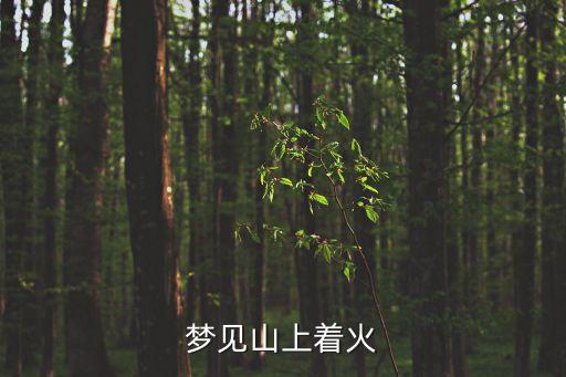 夢(mèng)見(jiàn)山上著火