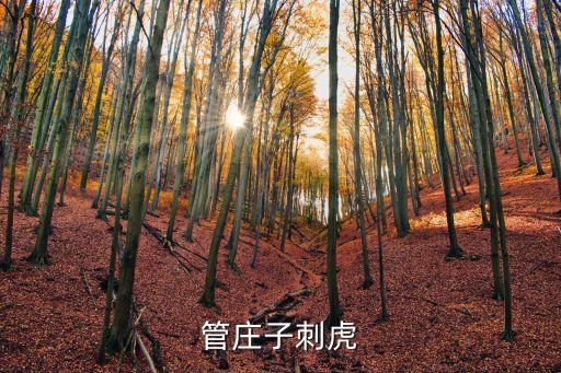管莊子刺虎，管莊子刺虎出自哪里