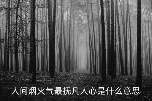 人間煙火氣最撫凡人心是什么意思