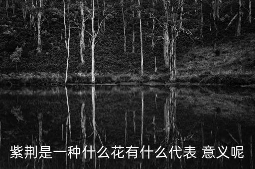 紫荊花的象征意義,紫荊花寓意深遠(yuǎn)家業(yè)興旺和國(guó)泰民安