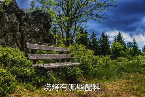 燒烤有哪些配料
