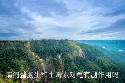 請(qǐng)問整腸生和土霉素對(duì)龜有副作用嗎