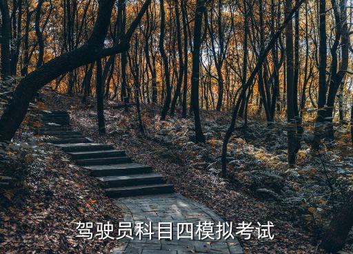 駕駛員科目四模擬考試