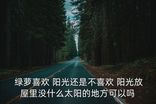 綠蘿喜歡陽光嗎,入冬后適當(dāng)陽光照射有利于綠蘿生長