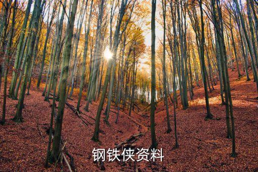 鋼鐵俠英語，鋼鐵俠用英語怎么說