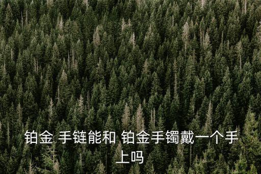  鉑金 手鏈能和 鉑金手鐲戴一個手上嗎