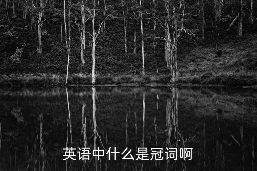 英語中什么是冠詞啊