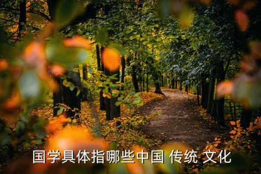 國學傳統文化,國學是傳統-2/不是國家之學