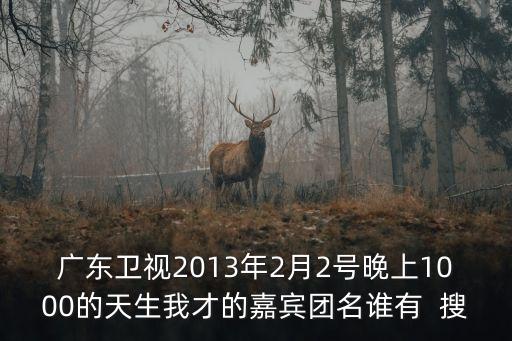 廣東衛視2013年2月2號晚上1000的天生我才的嘉賓團名誰有  搜