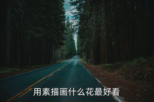 用素描畫什么花最好看