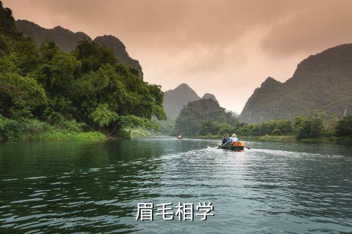 眉毛相學