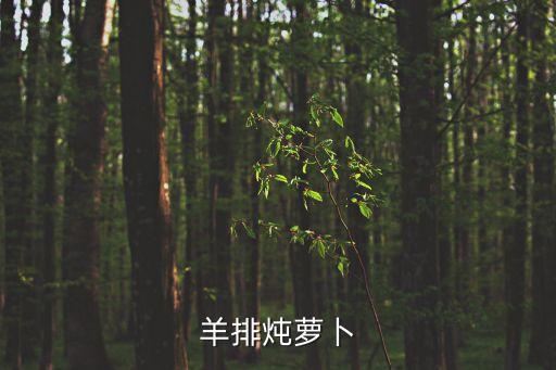 羊排燉蘿卜
