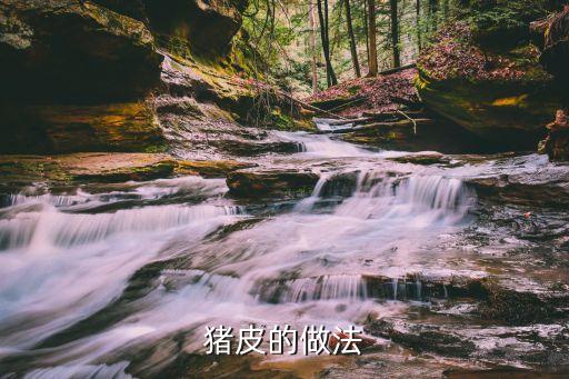 豬皮的做法