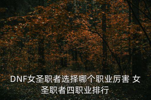 dnf女圣職者，DNF有女圣職者嗎