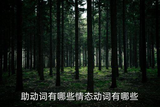情態助動詞，英語中的情態動詞和助動詞有那些