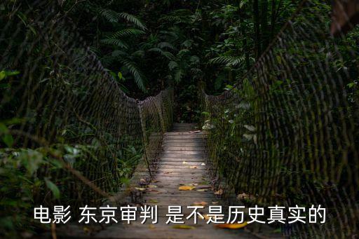 電影東京審判，電影 東京審判 是不是歷史真實的