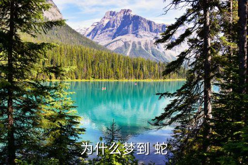 為什么夢(mèng)到 蛇