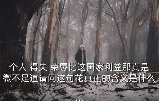 個(gè)人 得失 榮辱比這國家利益那真是微不足道請(qǐng)問這句花真正的含義是什么...