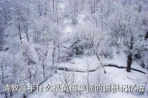 請教高手什么是英語單詞的詞根記憶法