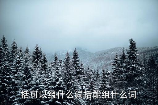 括可以組什么詞括能組什么詞