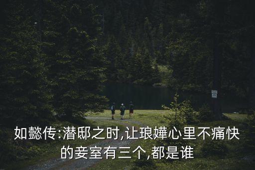 富察瑯嬅,第五套夫差·朗規服飾亮相