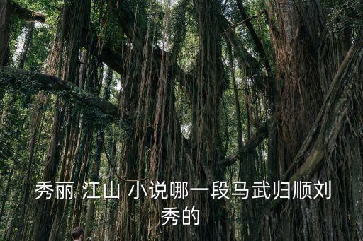  秀麗 江山 小說哪一段馬武歸順劉秀的