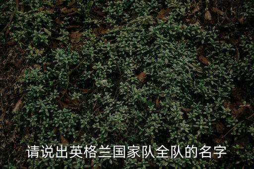 英國(guó)隊(duì)，英國(guó)足球隊(duì)為什么叫英格蘭