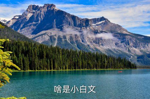 啥是小白文