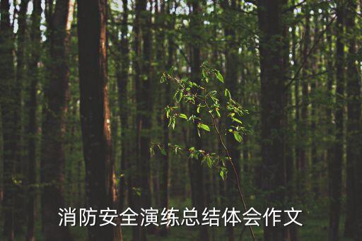 小學(xué)消防演練總結(jié)，消防安全逃生演練體會(huì)開(kāi)頭150字