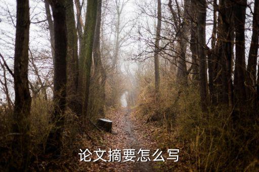論文摘要怎么寫