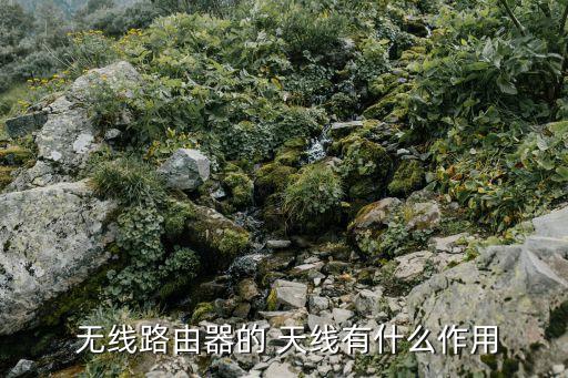  無線路由器的 天線有什么作用