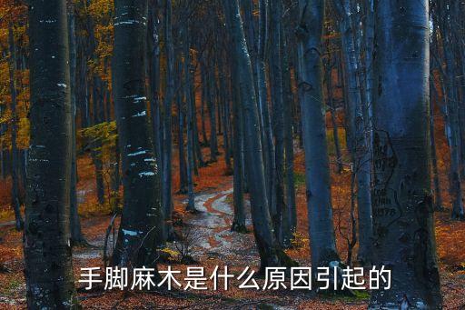 手腳發(fā)麻怎么回事,手腳發(fā)麻可能是肝血虧虛或陰虛陽(yáng)亢