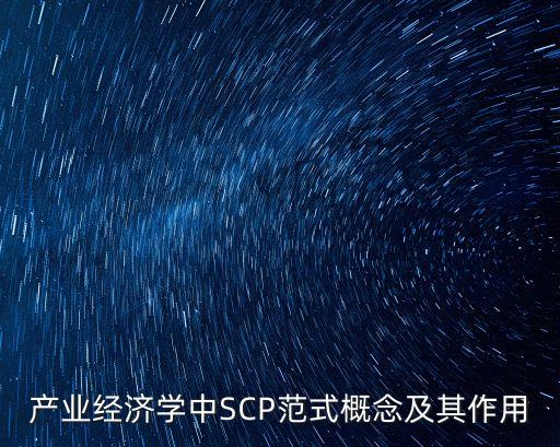 scp范式，產業經濟學中SCP范式概念及其作用