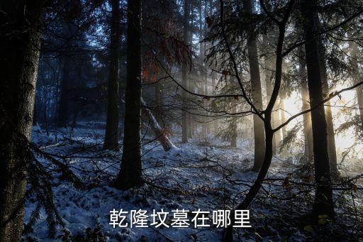 乾隆墳?zāi)乖谀睦? class=