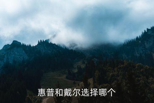 惠普和戴爾，惠普和戴爾選擇哪個(gè)