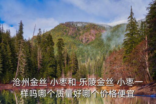 滄州金絲 小棗和 樂陵金絲 小棗一樣嗎哪個質量好哪個價格便宜