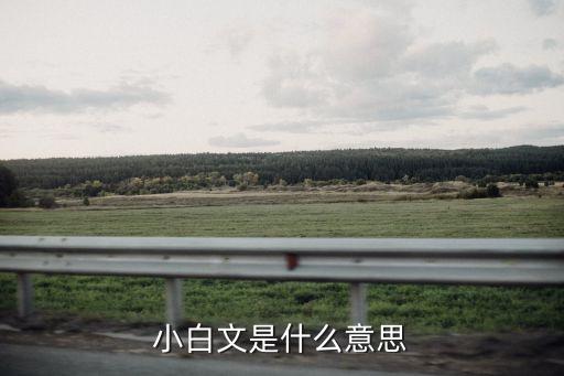 小白文是什么意思