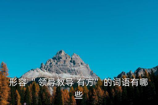 形容“ 領導教導 有方”的詞語有哪些
