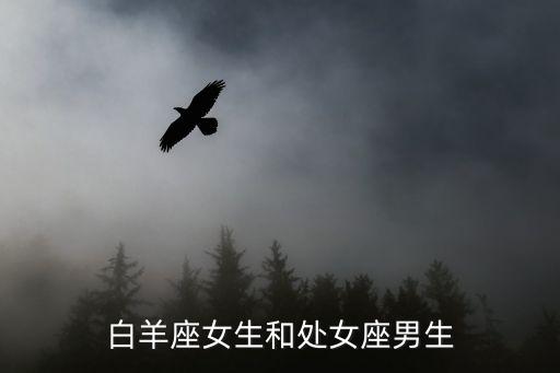 白羊座女生和處女座男生