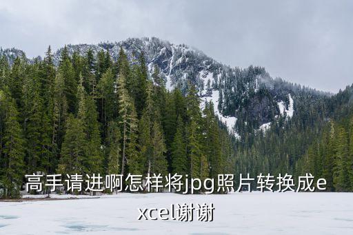 高手請進啊怎樣將jpg照片轉換成excel謝謝
