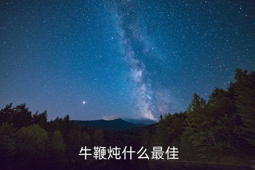 極樂牛鞭,馬國老母雞燉牛鞭放點枸杞營養(yǎng)又好吃