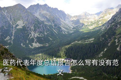 醫(yī)藥代表年度總結(jié)報告怎么寫有沒有范文