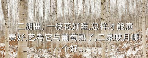 二胡獨(dú)奏一枝花,《紅梅二胡協(xié)奏曲專輯》獲第四屆中國金唱片獎