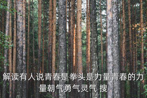 解讀有人說青春是拳頭是力量青春的力量朝氣勇氣靈氣 搜