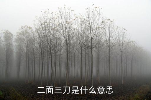 二面三刀是什么意思