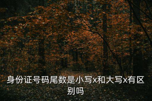 身份證號(hào)碼尾數(shù)是小寫x和大寫x有區(qū)別嗎