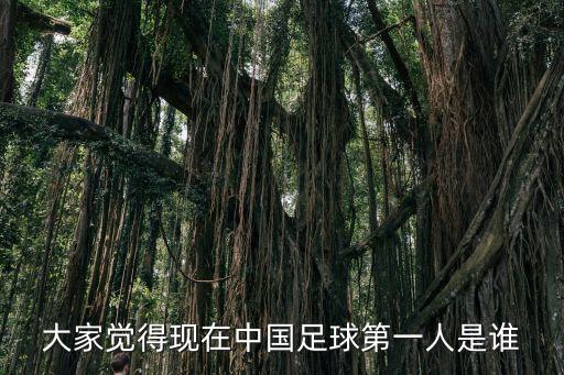 大家覺得現(xiàn)在中國(guó)足球第一人是誰(shuí)
