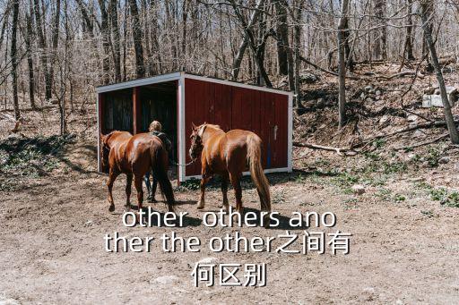 other  others another the other之間有何區別