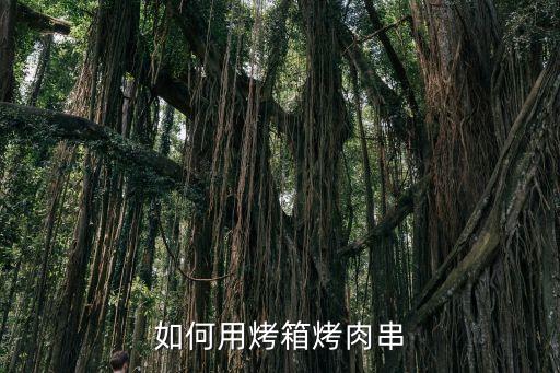 如何用烤箱烤肉串