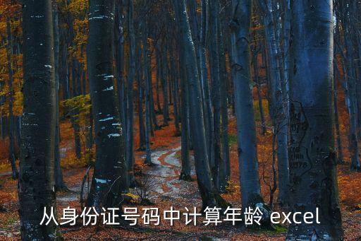 從身份證號碼中計算年齡 excel